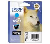 Epson T096 Cyan Cartridge - Retail Pack (untagged) for Epson Stylus Photo R2880