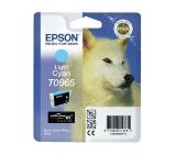 Epson T096 Light Cyan Cartridge - Retail Pack (untagged) for Epson Stylus Photo R2880