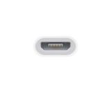 Apple Lightning to micro USB Adapter