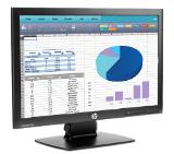 HP ProDisplay P202 20-inch Monitor