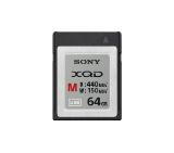 Sony 64GB XQD M series (read 440MB/s, write 150MB/s)