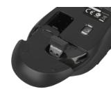 Natec Mouse Robin wireless 1600dpi black