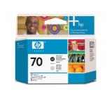 HP 70 Photo Black and Light Gray Printhead