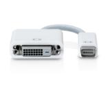 Apple Mini DVI to DVI Adapter