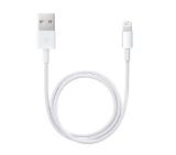Apple Lightning to USB cable (0.5m)