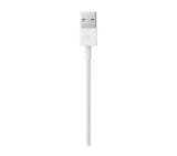 Apple Lightning to USB cable (0.5m)