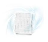 Bosch BBZ156HF, HEPA filter