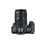 Canon EOS 2000D, black + EF-s 18-55mm f/3.5-5.6 IS II + EF 50mm f/1.8 STM + Canon BAG Shoulder SB100, Black