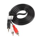 Lanberg mini jack 3.5mm (M) 3 pin -> 2X RCA (chinch) (M) cable 2m