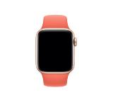 Apple Watch 40mm Band: Clementine Sport Band - S/M & M/L