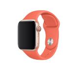 Apple Watch 40mm Band: Clementine Sport Band - S/M & M/L