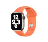 Apple Watch 40mm Band: Kumquat Sport Band - Regular (Seasonal Nov2020)