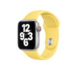 Apple Watch 40mm Band: Ginger Sport Band - Regular (Seasonal Fall 2020)
