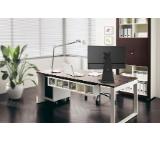 Neomounts by NewStar Flat Screen Desk Mount (stand)