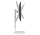 Neomounts by NewStar Flat Screen Desk Mount (stand)