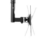 Neomounts by NewStar Flat Screen Ceiling Mount (Height: 60-85 cm)