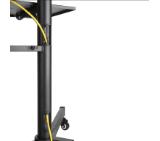 Neomounts by NewStar Mobile Flat Screen Floor Stand (height: 155-170 cm)