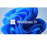 Microsoft Windows 11 Pro GGK 64Bit Eng Intl 1pk DSP ORT OEI DVD