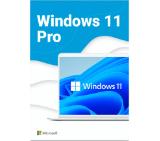 Microsoft Windows Pro 11 64-bit Eng Intl USB RS