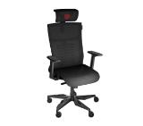 Genesis Ergonomic Chair Astat 700 Black