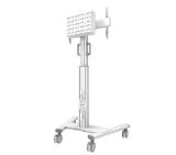 Neomounts Select Mobile Display Floor Stand (37-75") 10 cm. Wheels, White