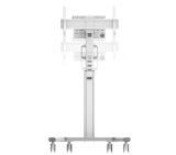 Neomounts Select Mobile Display Floor Stand (37-75") 10 cm. Wheels, White