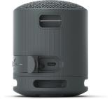 Sony SRS-XB100 Portable Bluetooth Speaker, black