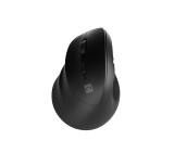 Natec Vertical Mouse Crake 2  BLUETOOTH 5.2 + 2.4GHZ BLACK 2400dpi, Left handed, black