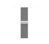 Apple 41mm Silver Milanese Loop