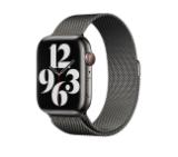 Apple 45mm Graphite Milanese Loop