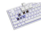 Genesis Gaming Keyboard Thor 404 TKL White RGB Backlight US Layout Brown Switch