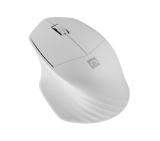 Natec Mouse Siskin Wireless 1600DPI 2.4GHz + Bluetooth 5.0 Optical White