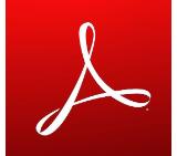 Acrobat Standard DC for teams 1 user 1 year