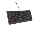 Genesis Gaming Keyboard Thor 230 TKL Lite US Rainbow Mechanical Outemu Red Black Hot Swap