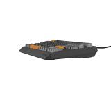 Genesis Gaming Keyboard Thor 230 TKL Anchor Gray Positive US RGB Mechanical Outemu Red