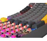 Genesis Gaming Keyboard Thor 230 TKL Anchor Gray Negative US RGB Mechanical Outemu Red