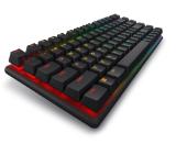 Dell Alienware Pro Wireless Gaming Keyboard - US (QWERTY) (Dark Side of the Moon)