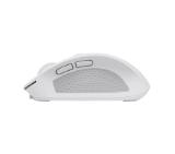 TRUST Ozaa Compact Wireless Mouse white