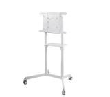 Neomounts Mobile Flat Screen Floor Stand (height: 160 cm)