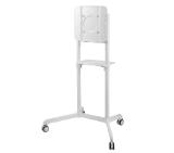 Neomounts by Newstar Mobile Flat Screen Floor Stand (height: 160 cm)