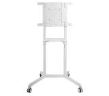 Neomounts Mobile Flat Screen Floor Stand (height: 160 cm)