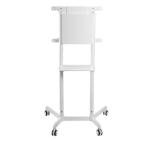 Neomounts Mobile Flat Screen Floor Stand (height: 160 cm)