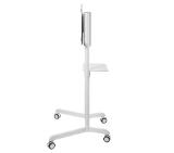 Neomounts by Newstar Mobile Flat Screen Floor Stand (height: 160 cm)