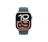 Apple Watch 42mm Sport Band: Lake Green Sport Band - S/M (Seasonal)