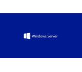 Windows Server CAL 2025 English 1pk DSP OEI 1 Clt Device CAL