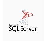 Microsoft SQL Server 2022 Standard with Windows Server 2025 Standard ROK (16 core) - Multilang