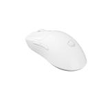 Fury Gaming Mouse Tanto T4 12000DPI Wireless With Software White