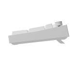 Genesis Mechanical Gaming Keyboard Thor 404 White RGB Backlight Gateron Peach Silent, US Layout