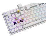 Genesis Mechanical Gaming Keyboard Thor 404 White RGB Backlight Gateron Peach Silent, US Layout