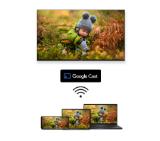 Thomson Smart QLED Plus TV 65"; Google TV; 3840 x 2160 (4K UHD), QLED, 4000:1, 60 Hz, DVB-T/T2/C/S/S2, HDR10, Wi-Fi, Bluetooth, LAN, HDMI 2 (2.0) + 2 (2.1), USB 2 (2.0) + 1 (3.0),Built-in Front Speakers, Central Swivel Stand, Black